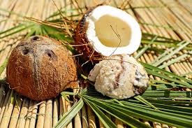 Coconut Dream Body Butter