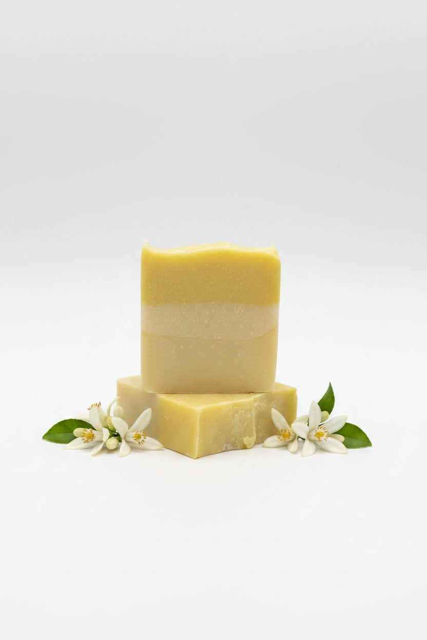 Citrus Bar Soap
