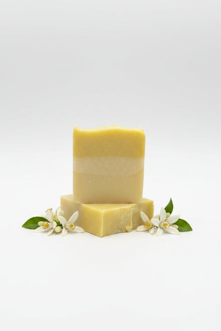 Citrus Bar Soap