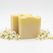 Citrus Bar Soap