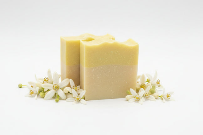 Citrus Bar Soap