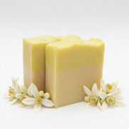 Citrus Bar Soap