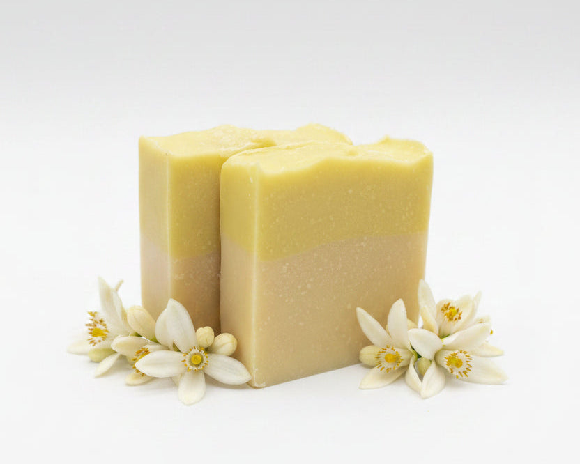 Citrus Bar Soap