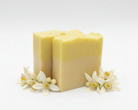 Citrus Bar Soap