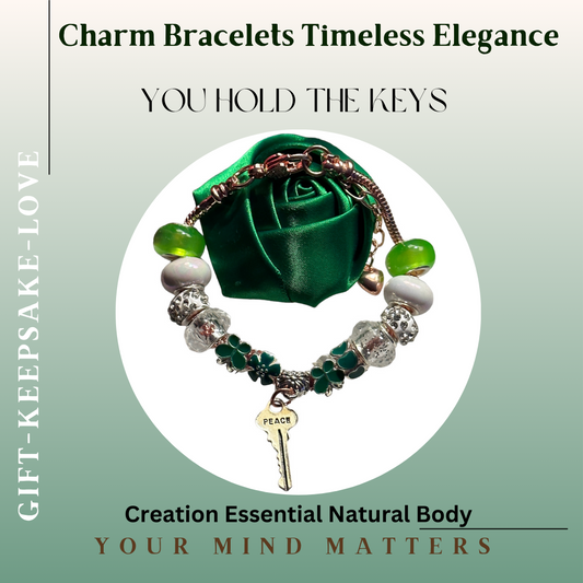 Charm Bracelets Timeless Elegance-A gift of inspiration (Don't Doubt Yourself)