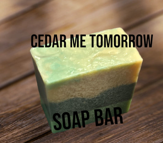 Cedar Me Tomorrow Soap Bar