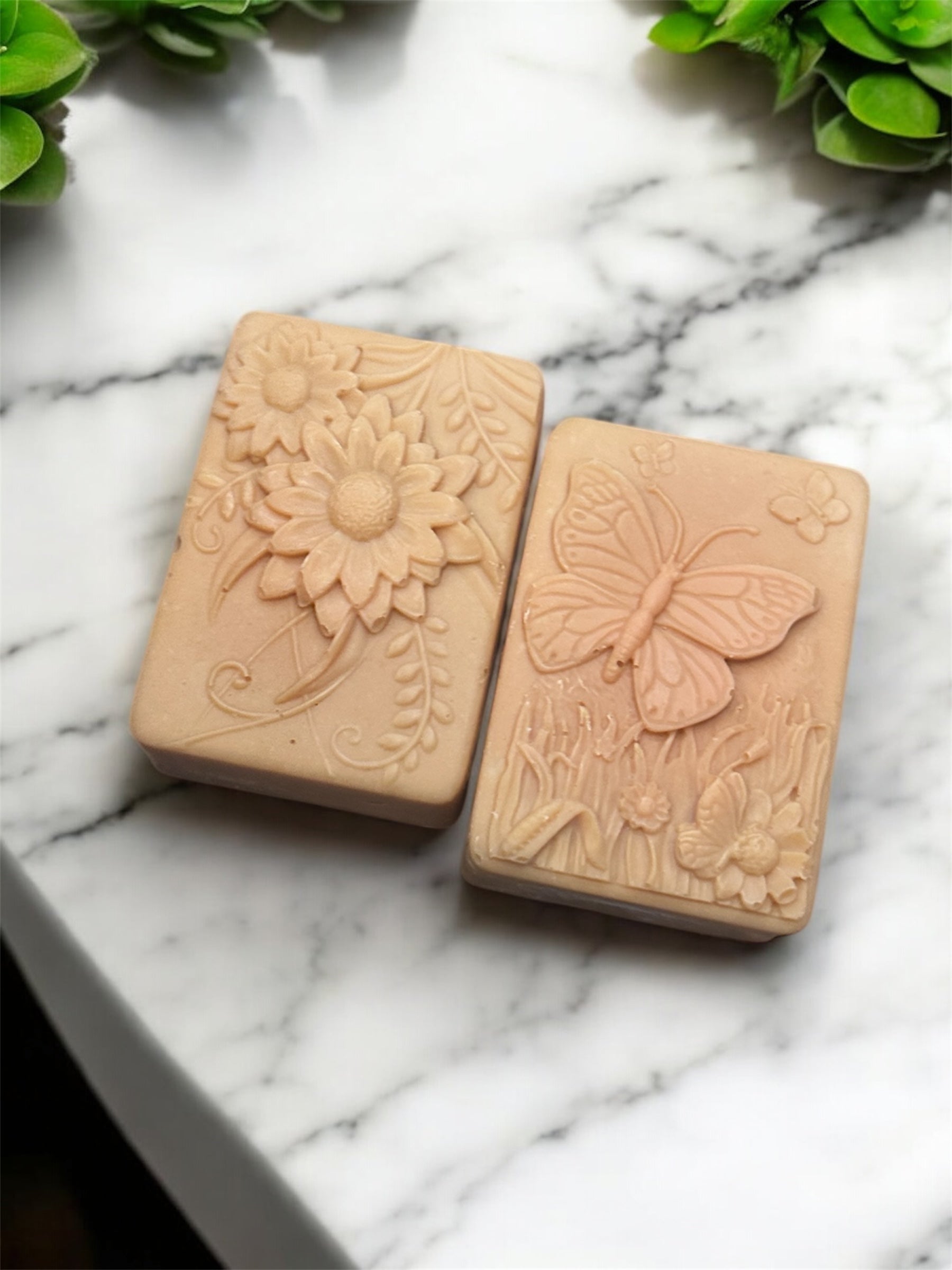 Tropical Fusion Soap Bar 2pk