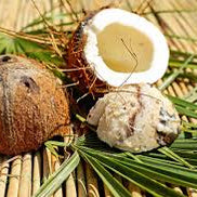 Buy 3 Get 3 or Buy 2 Get 1 Free  Dreamy Coconut  Body Butter, Velvety-Smooth Coconut Dream Shimmer Body Butter